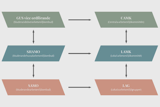 Organisationskarta för SAMO-nätverket