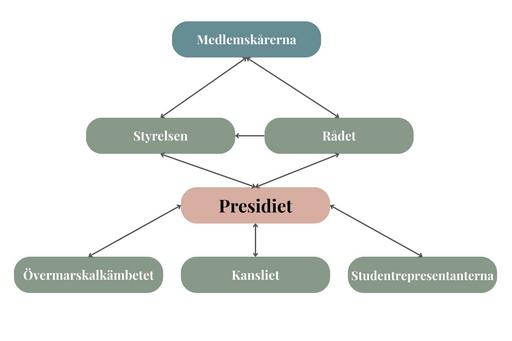 Schema över hur organen förhåller sig till varandra i verksamheten